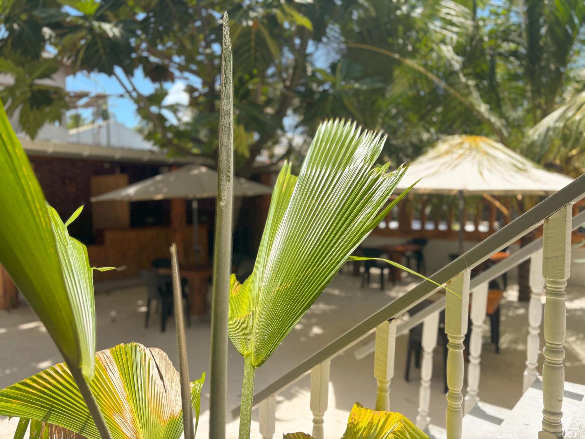 Thundi Guest house Mathiveri